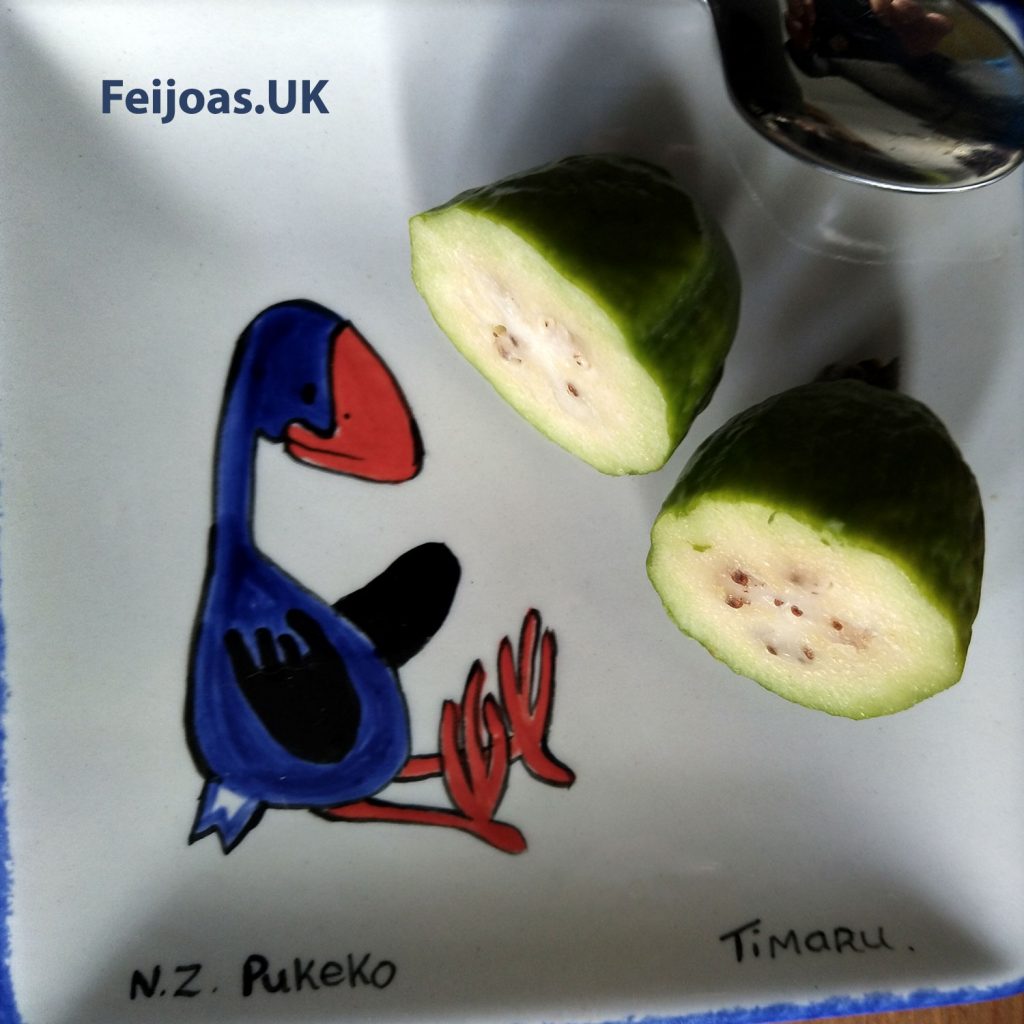 Feijoa cut in half on a Pukeko plate from Timaru. Where to buy Feijoas in the UK